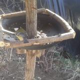 photo 2019-02-19 11-46-46