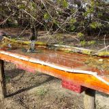 photo 2021-04-08 16-29-22