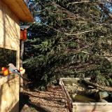 photo 2021-12-21 10-23-42