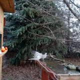 photo 2021-12-15 08-57-23