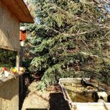 photo 2021-12-17 12-32-56