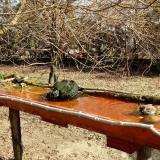 photo 2021-03-26 09-38-56