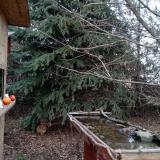 photo 2021-12-14 14-34-45