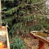 photo 2021-11-14 11-01-38