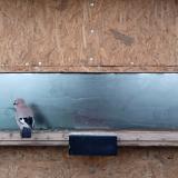 photo 2023-01-13 08-44-51