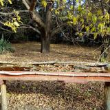 photo 2021-10-21 09-53-02