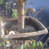 photo 2019-12-08 13-39-30