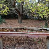 photo 2021-10-19 16-36-56