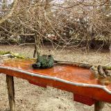 photo 2021-03-23 09-28-25