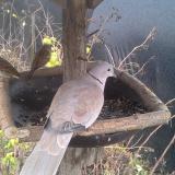 photo 2019-12-22 13-47-32