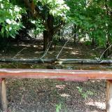 photo 2021-07-04 09-06-19