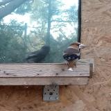 photo 2023-10-25 16-18-25 meggyvago