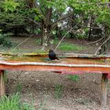 photo 2021-04-26 15-22-52