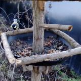 photo 2019-01-02 08-00-32