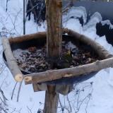 photo 2019-01-07 08-24-05