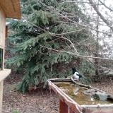 photo 2021-12-12 11-11-23