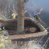 photo 2019-12-28 11-58-17