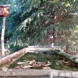 photo 2023-10-02 09-37-33