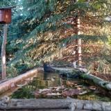 photo 2023-10-03 07-37-37