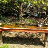 photo 2021-04-21 10-55-52