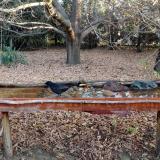 photo 2021-10-26 08-11-28