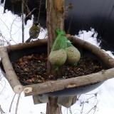 photo 2019-01-10 10-43-05