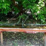 photo 2021-05-21 12-24-06