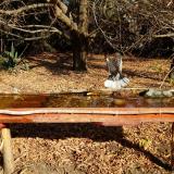 photo 2021-10-27 10-20-46