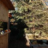 photo 2021-12-17 13-52-44