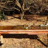 photo 2021-10-27 10-51-36