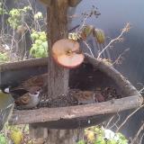 photo 2019-12-05 13-31-04