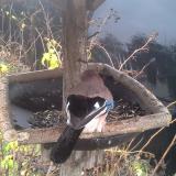 photo 2019-12-23 11-58-07