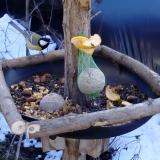 photo 2019-01-14 12-27-40