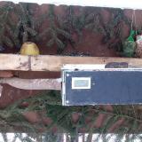 photo 2021-02-11 07-54-48