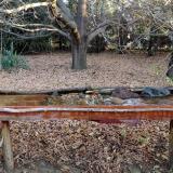 photo 2021-10-26 08-08-52