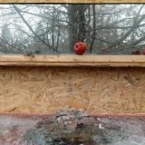 photo 2022-01-16 11-24-18