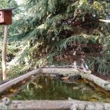 photo 2023-10-11 16-24-05