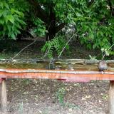 photo 2021-05-25 10-32-45