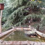 photo 2023-10-13 17-21-15