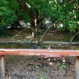 photo 2021-07-03 13-19-47