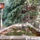 photo 2023-10-05 11-25-59