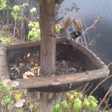 photo 2019-12-09 13-45-52