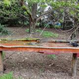 photo 2021-04-18 15-40-45