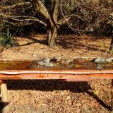 photo 2021-10-27 10-53-43