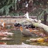 photo 2023-10-09 15-40-17