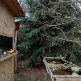 photo 2021-12-18 14-08-02