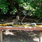 photo 2021-08-11 09-57-25