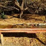 photo 2021-10-24 10-45-04