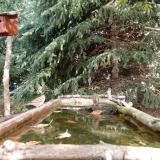 photo 2023-10-11 11-26-40