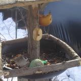 photo 2019-01-29 10-57-23